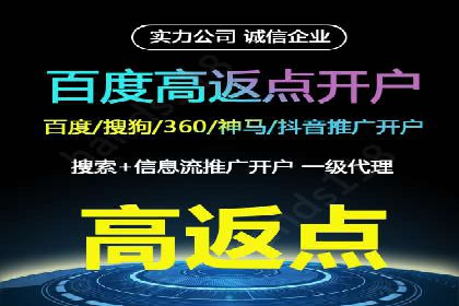 成功利用百度竞价赚钱的五大案例